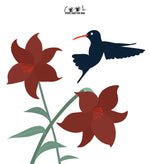 Colibri