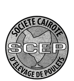 Mug Société Cairote d'élevage de poulets