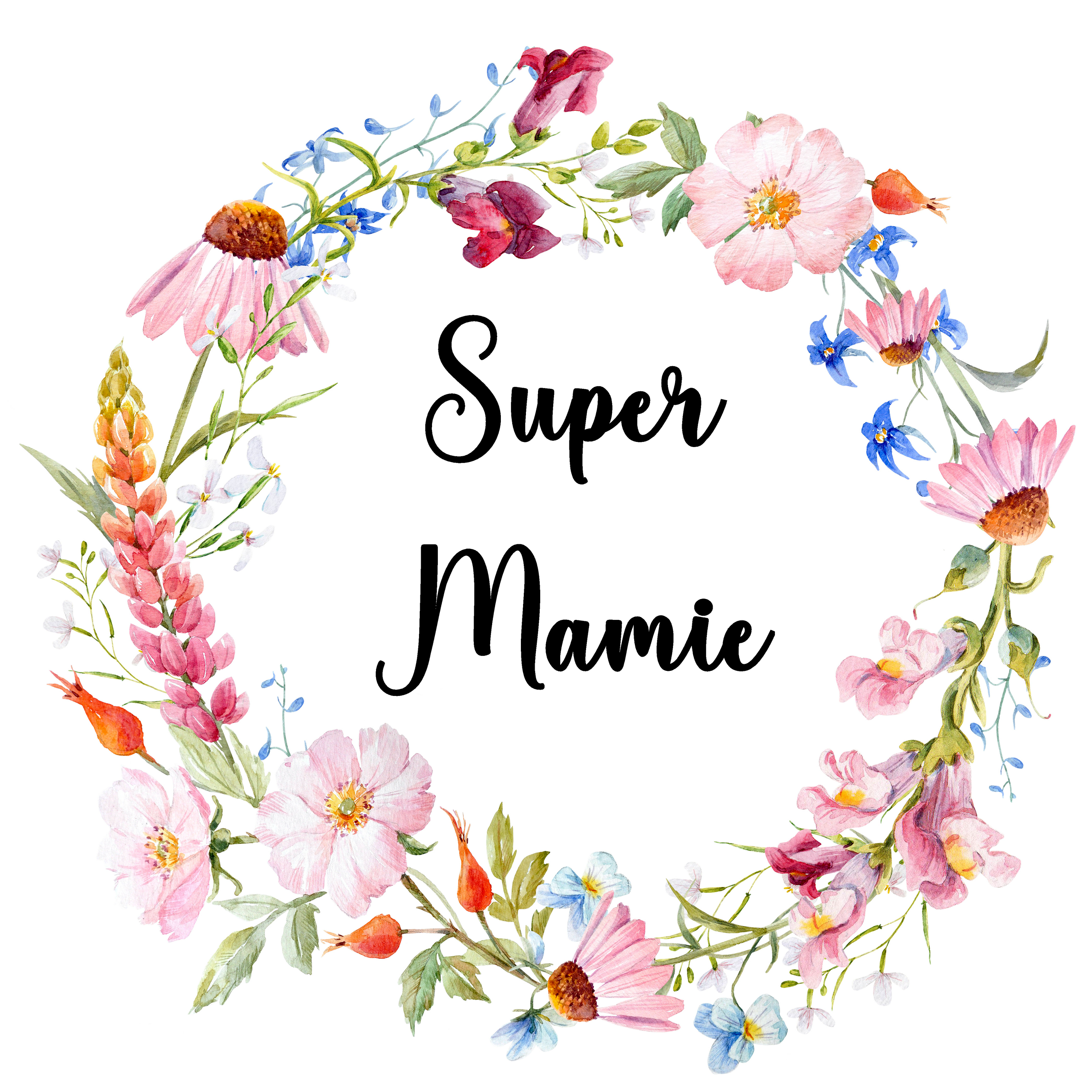 Pochette Super Mamie